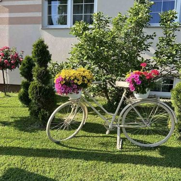 Medicinska sestra Marija Ričko ima najljepše dvorište u okolici Ludbrega - 8