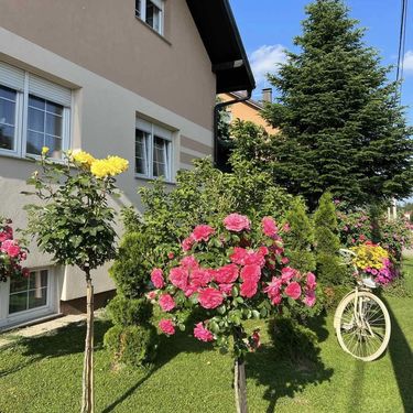 Medicinska sestra Marija Ričko ima najljepše dvorište u okolici Ludbrega - 9