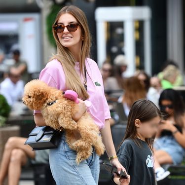 Cargo traperice na zagrebačkoj špici