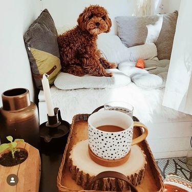 Balkon od šest kvadrata Dušice iz Srbije