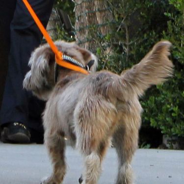 Jennifer Aniston najavila knjigu za djecu