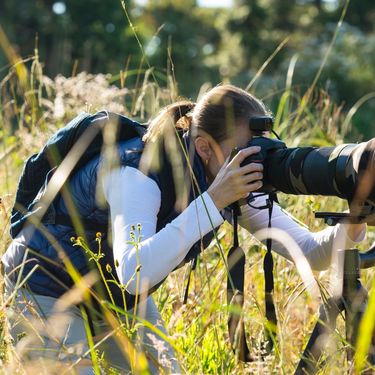 Fotograf u prirodi i mladunče lava skriveno u visokoj travi