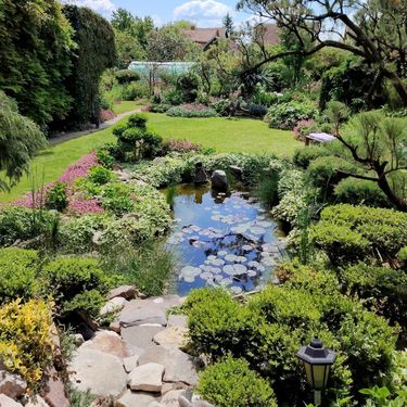 Vrt Branke Markovanović iz Čepina izgleda poput najljepšeg raja - 15