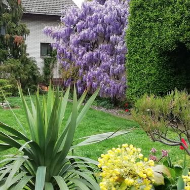 Vrt Branke Markovanović iz Čepina izgleda poput najljepšeg raja - 22