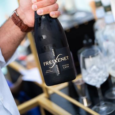 Osvježavajući, lagani i ljetni Freixenet