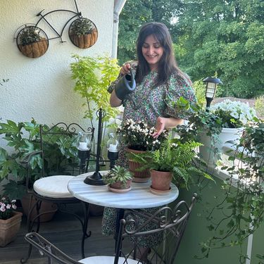 Cvjetni balkon Alme Gudžević