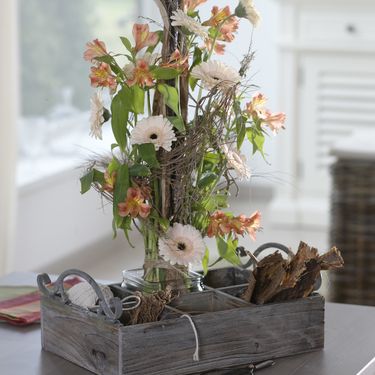 Peruanski ljiljan - 4