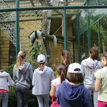 Tijekom ljetnih školskih praznika u Zoološkom vrtu Grada Zagreba održava se Divlje ljeto - 3