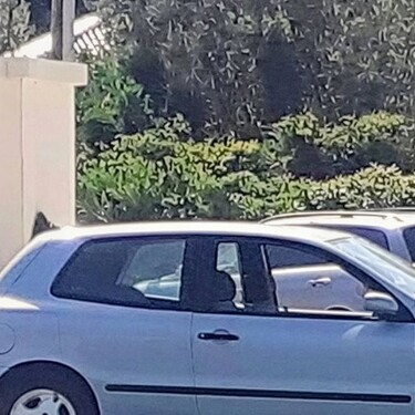 Auto pored mora