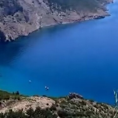Pogled