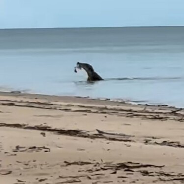 Idilična plaža