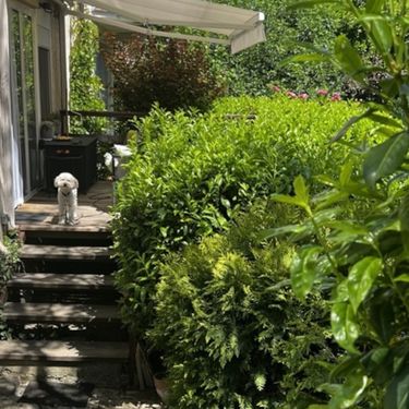 Prekrasna terasa okružena zelenilom u Zagrebu - 2