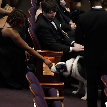 Pas Messi iz filma 'Anatomija pada' imao je svoj stolac na dodjeli Oscara - 2