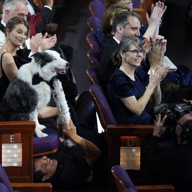 Pas Messi iz filma 'Anatomija pada' imao je svoj stolac na dodjeli Oscara - 5