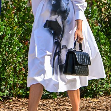 Melania Trump u haljini modne kuće Alexander McQueen - 4