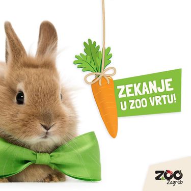 Zekanje u zagrebačkom Zoo vrtu na Uskrsni ponedjeljak - 2