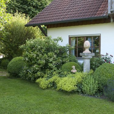 Sanjivo dvorište s ružama i puno zelenila - 7