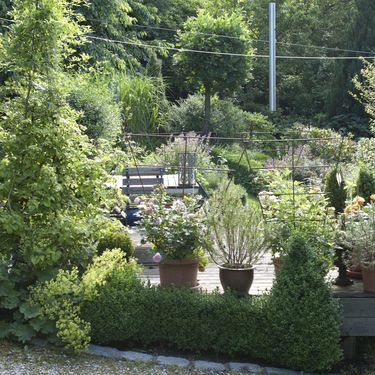 Sanjivo dvorište s ružama i puno zelenila - 8