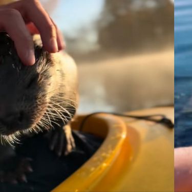 TikToker Mats Janzon i njegova vidra Leya