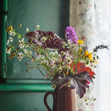 Divlje cvijeće prostoru daje poseban šarm