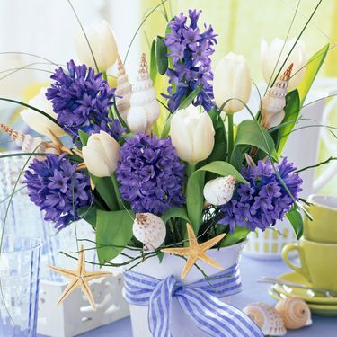 Zumbuli su najčešće ljubičaste boje, ali sve su prisutniji i oni u bijeloj i nježno ružičastoj boji - 3