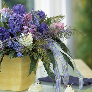 Zumbuli su najčešće ljubičaste boje, ali sve su prisutniji i oni u bijeloj i nježno ružičastoj boji - 8