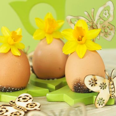 Na vrh praznog i probušenog jajeta stavite cvijet narcisa