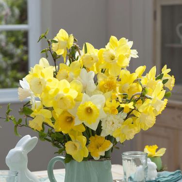 Uz raskošan buket narcisa odlično će izgledati jaja ukrašena njima