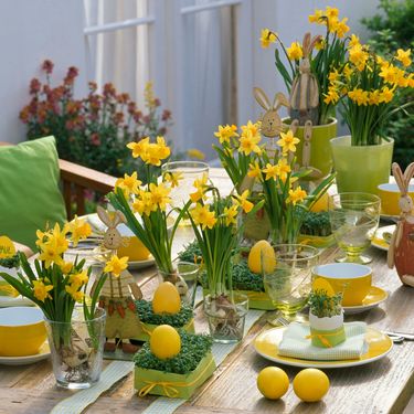 Uskrsni stol ukrašen narcisima