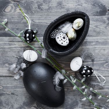 Crne i bijele pisanice - 1