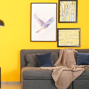 Neke boje zidova majstori ne preporučuju