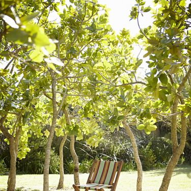 Kuća s bajnom terasom i sjenovitim mjestima za odmor - 16