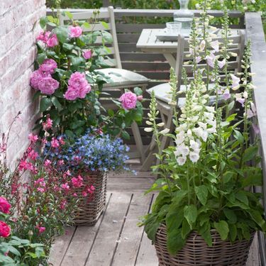 Mali balkon ispunite biljem i cvijećem