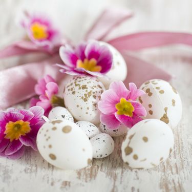 Pisanice s pjegicama - 6