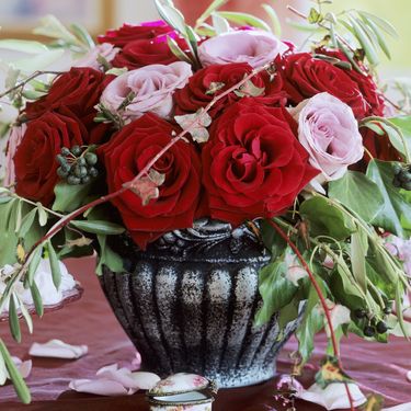 Maslinove grančice kao dekoracija u domu - 9