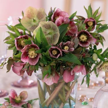 Kukurijek neki nazivaju i korizmenom ružom - 5