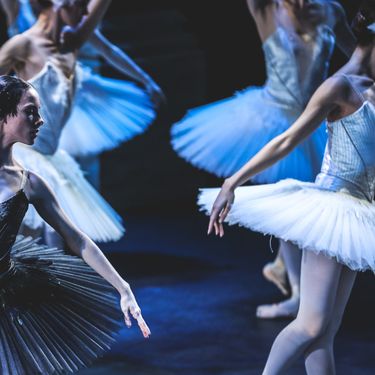 Labuđe jezero na pozornici HNK-a u Zagrebu - 14