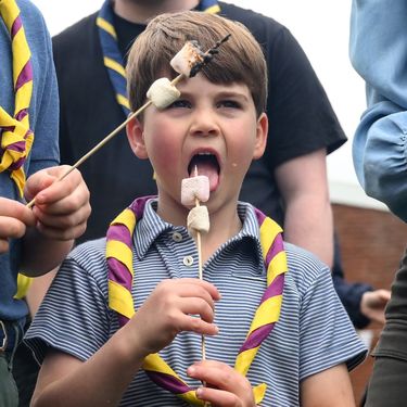 Princ Louis s izviđačima