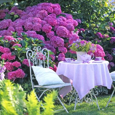 Prekrasni vrtovi s hortenzijama - 9