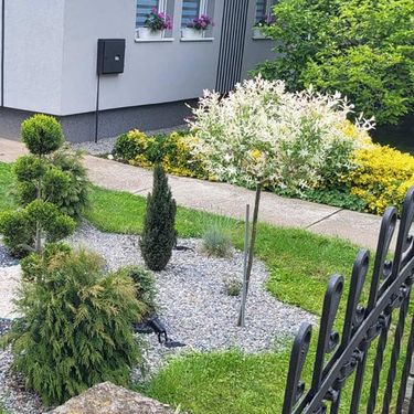 Prelijepo uređeno dvorište Sanje Djaković iz Zrenjanina - 7