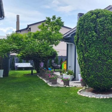 Prelijepo uređeno dvorište Sanje Djaković iz Zrenjanina - 8