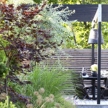 Dvorište obične kuće koje izgleda kao da je dio hotela s pet zvjezdica - 3