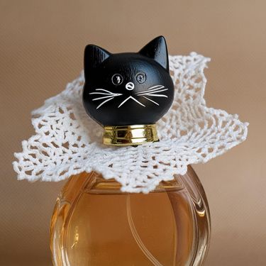 Rim Tim Tagi Dim parfem