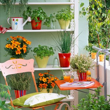 Izbor boje itekako je važan