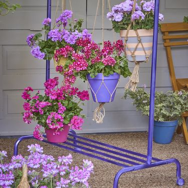 Stalak za viseće makrame košare s pelargonijama