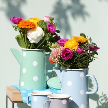 Ranunkula kao predivan ukras doma