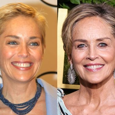 Sharon Stone 2004. i 2024.