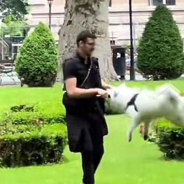 Čovjek i pas na Zrinjevcu