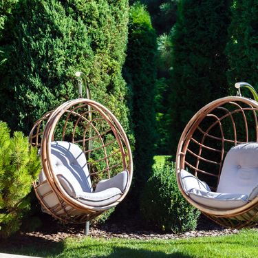 Tuje u dvorištu stvaraju predivan zeleni ugođaj