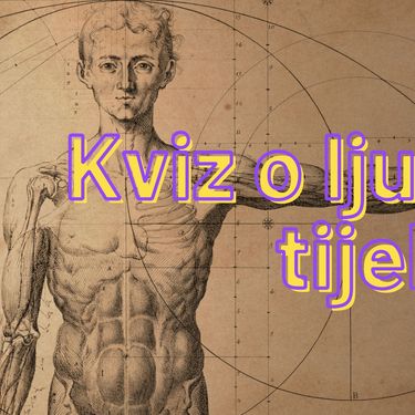 Kviz o ljudskom tijelu